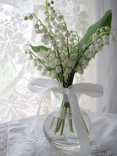 Lily-of-the-Valley 2