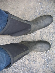 Barn Muck Boots