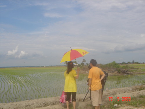 Shooting the paddy field scenery