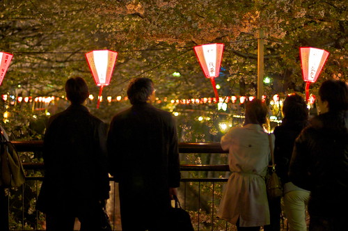 Sakura nocturno de Naka Meguro
