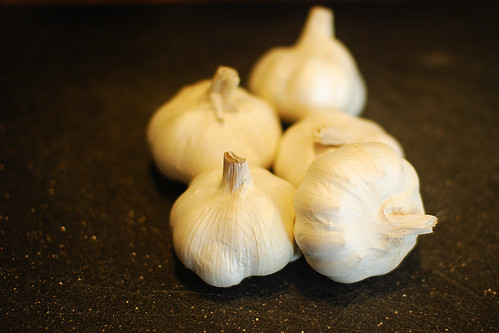 Roasted Garlic 1