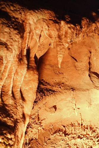 Shasta Caverns - 7043