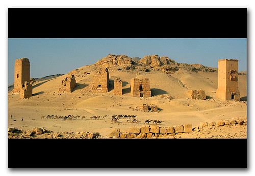 manada de camellos, Palmira