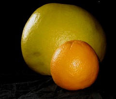 Pomelo vs Orange (2 of 3)