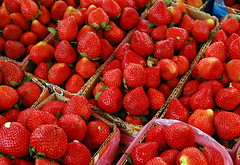 Strawberries (La Trinidad, Benguet)
