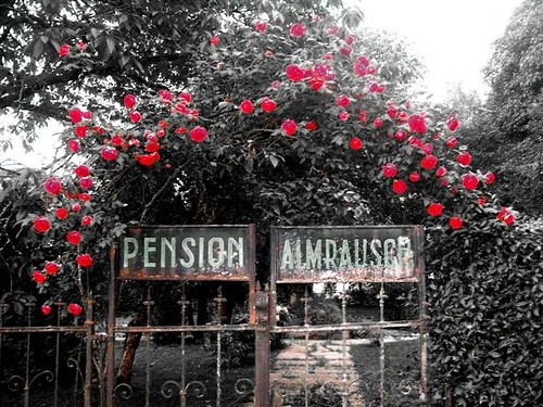Pension Almrausch