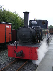 Gelert at the WHR(P)