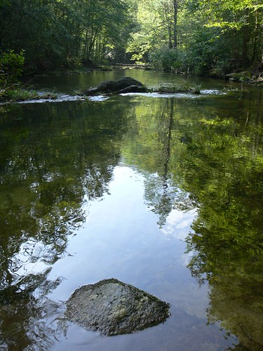 Lost Cove Creek