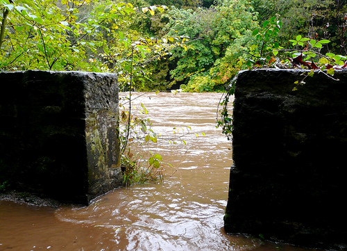 River Ayr over its bank