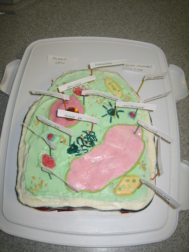 plant cell cake. PLANT CELL CAKE