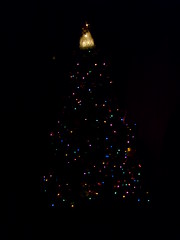 Christmas Tree in the Dark