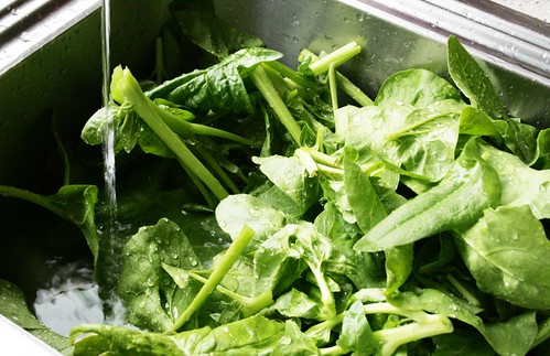 rinsing freshly picked spinach