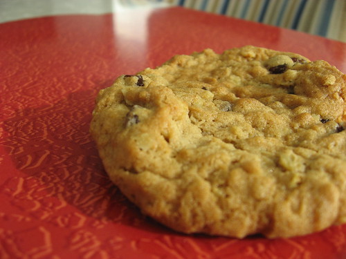 04-24 oatmeal raisin cookie