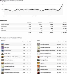flickr page view stats