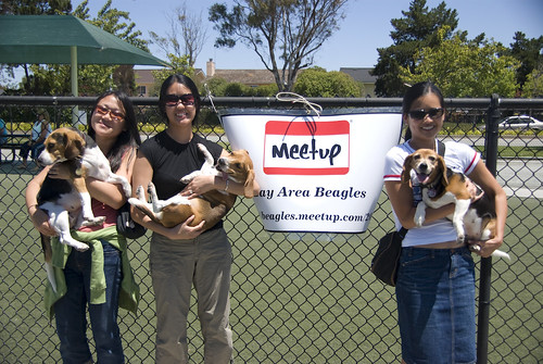 2008-06-07 Beagle Meetup and Monkey on Sallys Back-45
