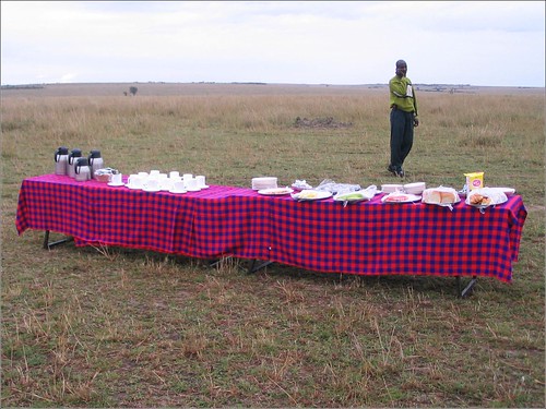 你拍攝的 29 Masai Mara - Champagne Breakfast。