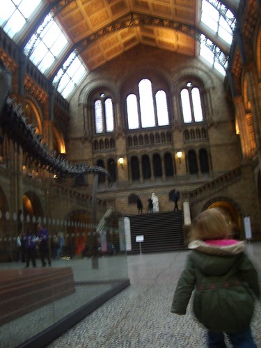 Inside Natural History Museum, London
