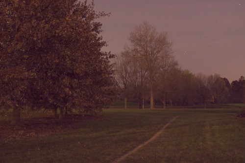 Arboretum at night