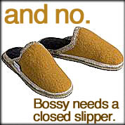 slipper2