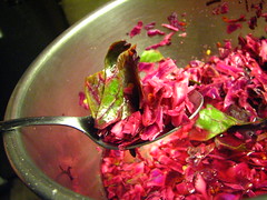 shredded cabbage salad