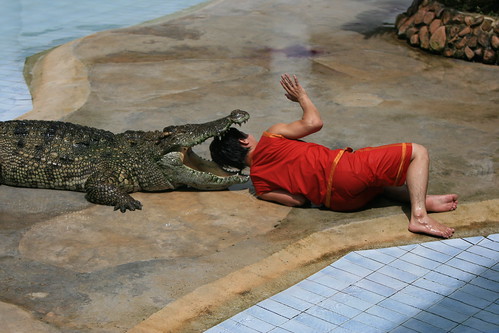 Crocodile show, Koh Kong