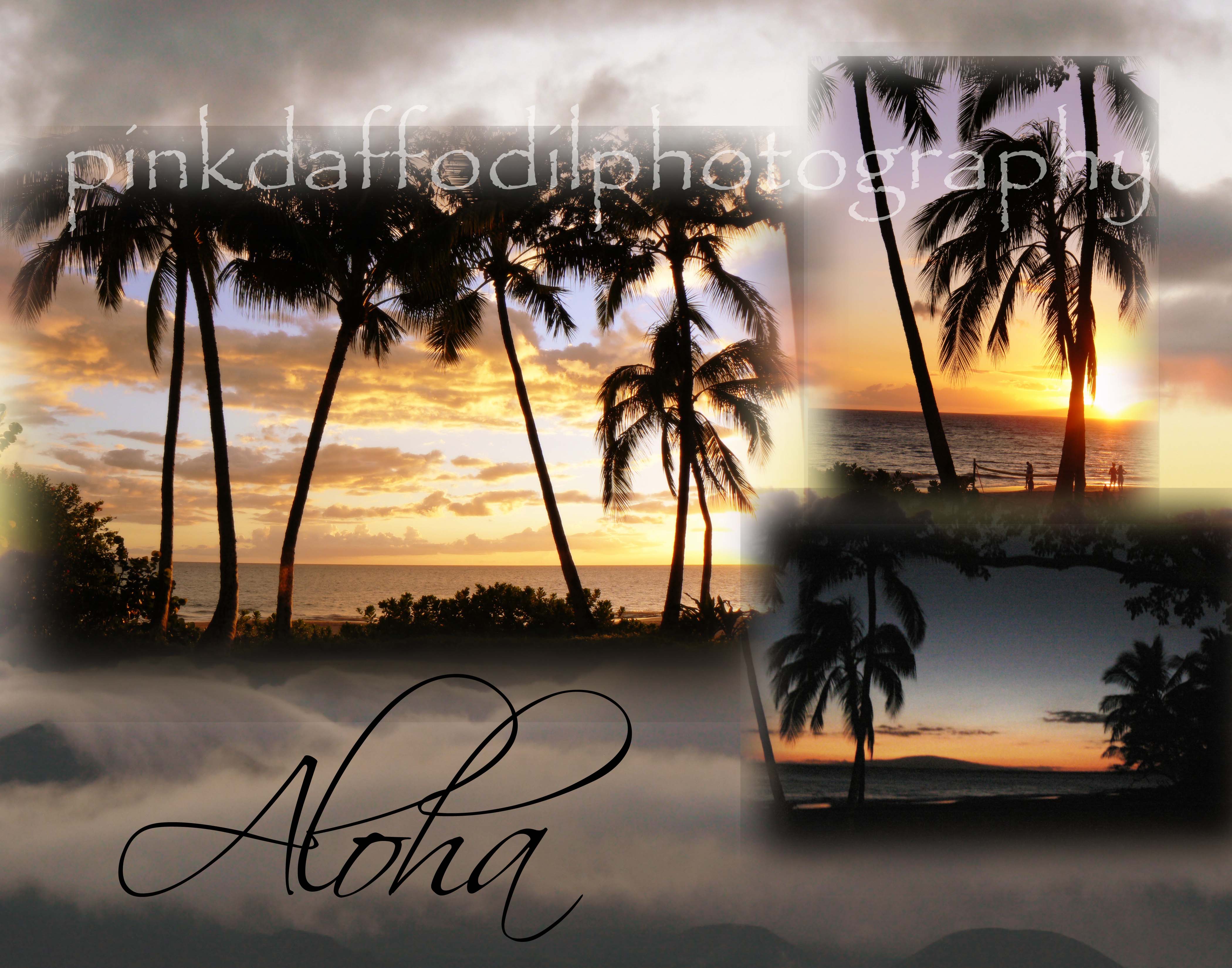 watermark Aloha sunset copy copy