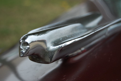 1946 Cadillac Hood Ornament (by Brain Toad Photography)