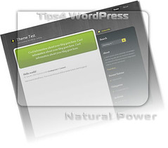 WordPress Theme - Natural Power «‹ tips4WordPress
