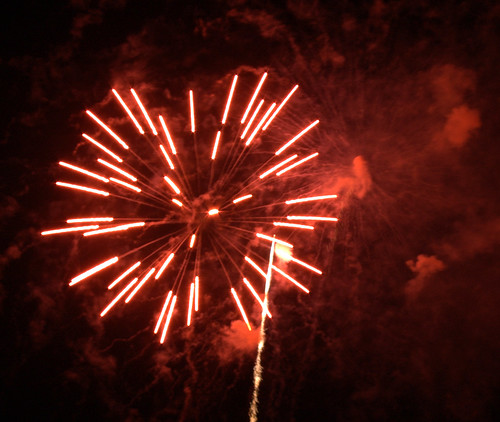 Hermann Park Fireworks 3