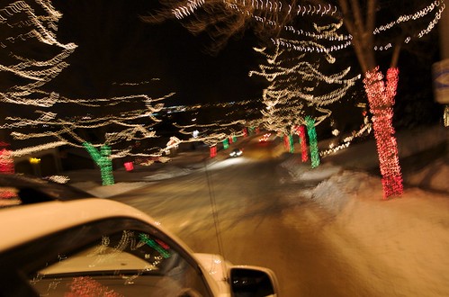 Christmas Tree Lane lights