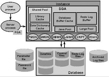 Arsitektur Database Oracle