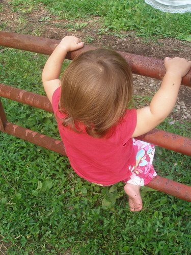 learning the art of climbing gates