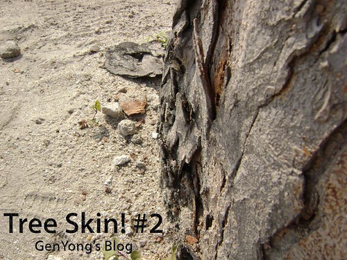 Tree Skin #2