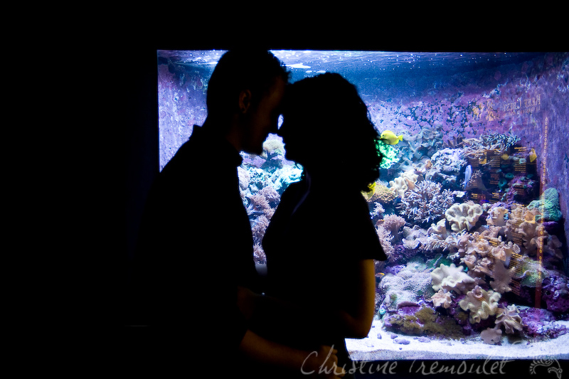 Lindsey & Shelby - Engagement Session in Houston, Texas at the Houston Zoo