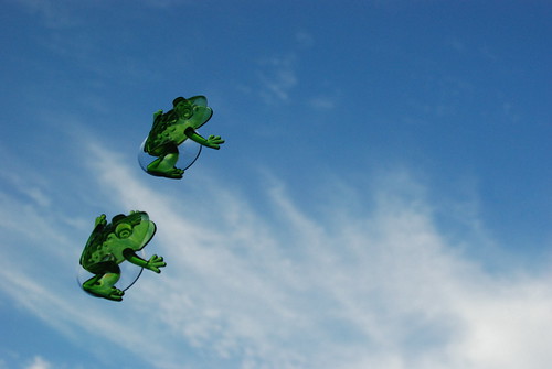 frogs might be able to fly..