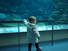 port of Nagoya public aquarium