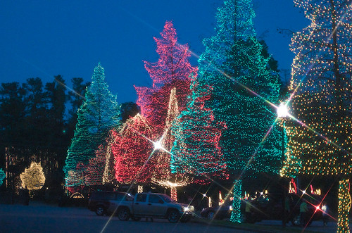 Christmas Lights at Swan Lake