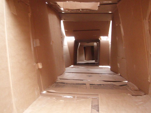 inside cardboard box maze