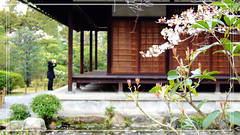 涉成園 The Shosei-en Garden by Windswept Duckweed