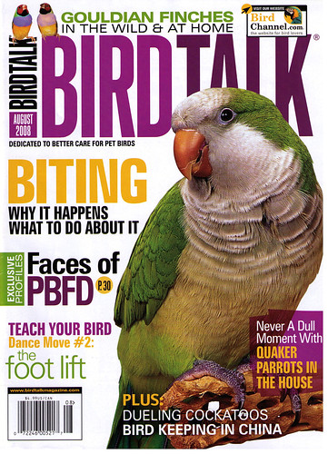 Birdorable in Bird Talk Magazine Aug 2008