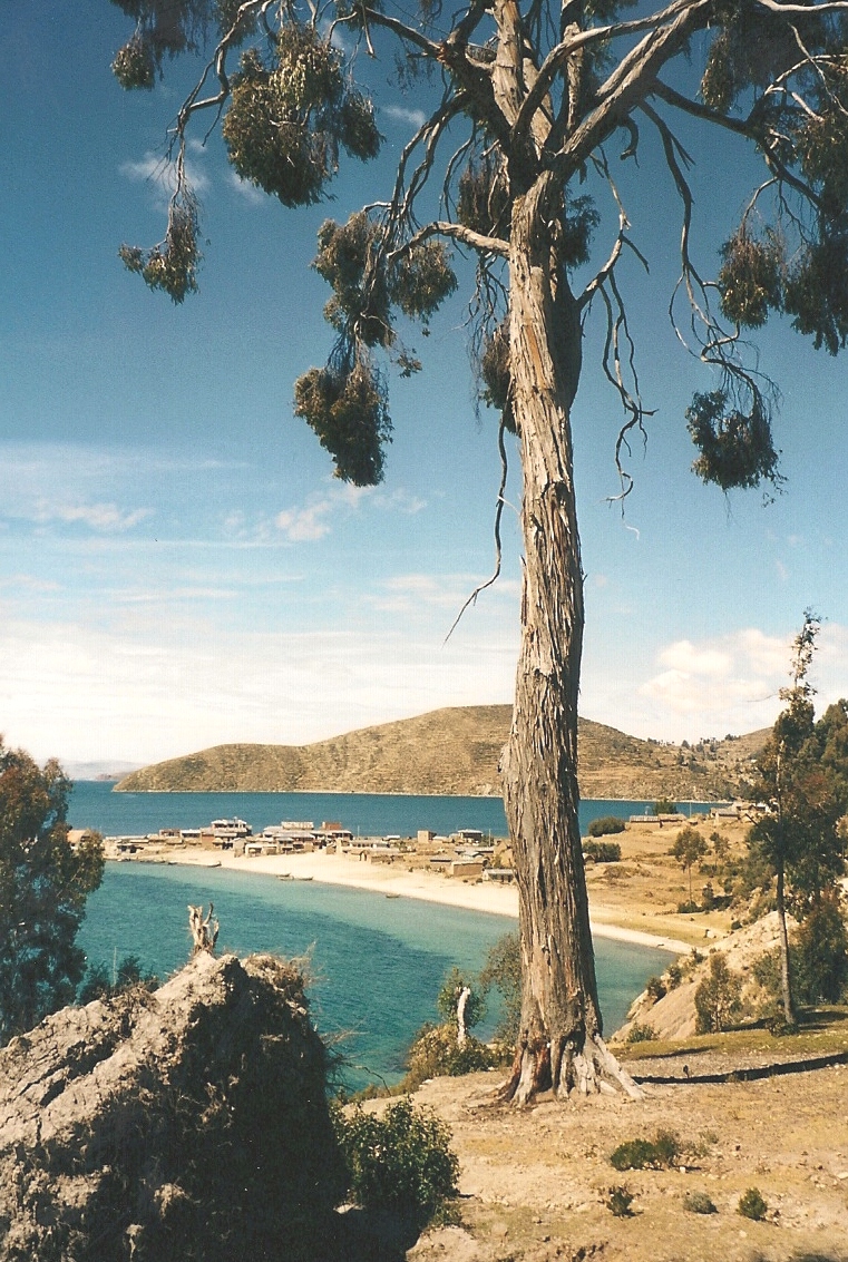 Lac Titicaca-Pérou (8)