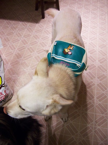 yama with backpack