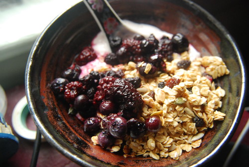Yogurt, goji berry granola, berries