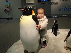 my daughter and emperor penguin