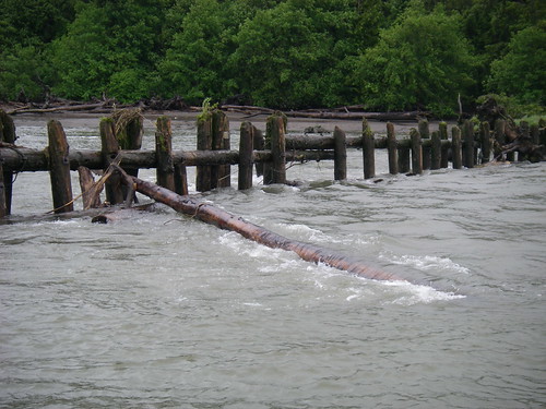 pile jetty clogged with logs