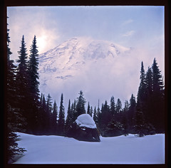 Winter at Mt. Rainier