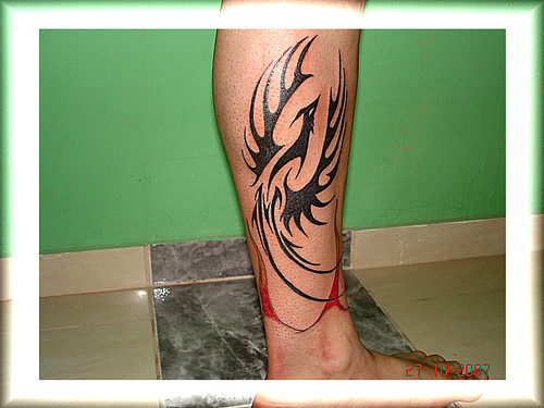 tatuagem fenix tribal na perna 2 TARZIA TATTOO TATUAGEM PIERCING 