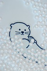 seal in a tub of styrofoam beads