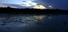 Marsh Sunset 3