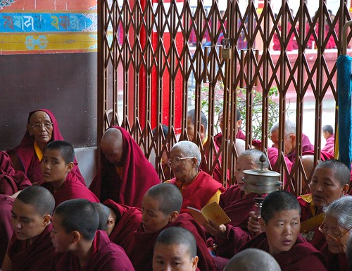 Spinning a prayer wheel, reading Dharma prayers, A group of Tibetan Buddhist nuns sits on the front porch of Tharlam Monastery of Tibetan Buddhism, Sakya Lamdre, Boudha, Kathmandu, Nepal by Wonderlane